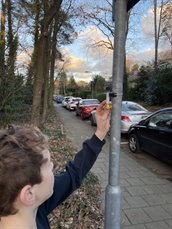 Palmes buisje GLOBE
