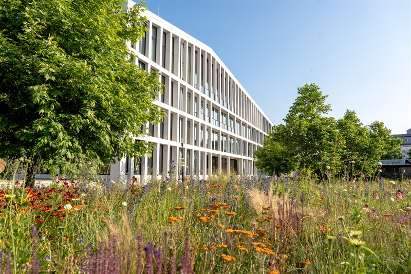 De achterkant van het provinciehuis in Arnhem, met een bloementuin op de voorgrond.