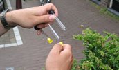 Met Palmesbuisjes kan NO2 in de lucht gemeten worden