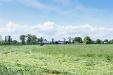 Buitengebied van Ede met grasland